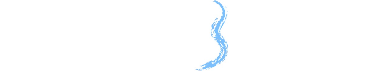 bisasdelosubordan.com