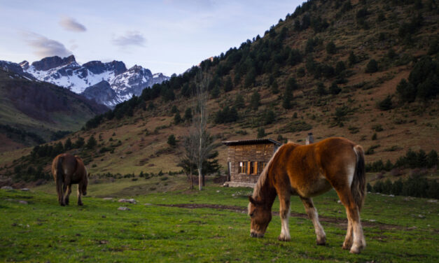 Biopirineo, un proyecto para potenciar el territorio