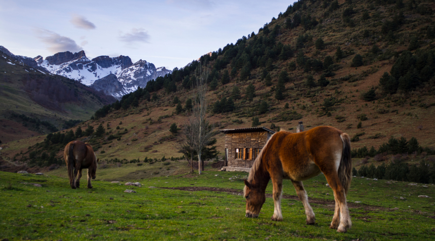 Biopirineo, un proyecto para potenciar el territorio