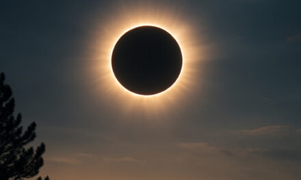Eclipse de sol: una coreografía total