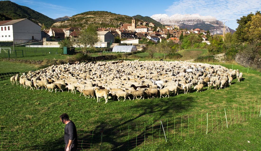 Pueblos Vivos, un proyecto en apoyo del mundo rural
