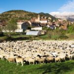 Pueblos Vivos, un proyecto en apoyo del mundo rural