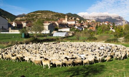 Pueblos Vivos, un proyecto en apoyo del mundo rural