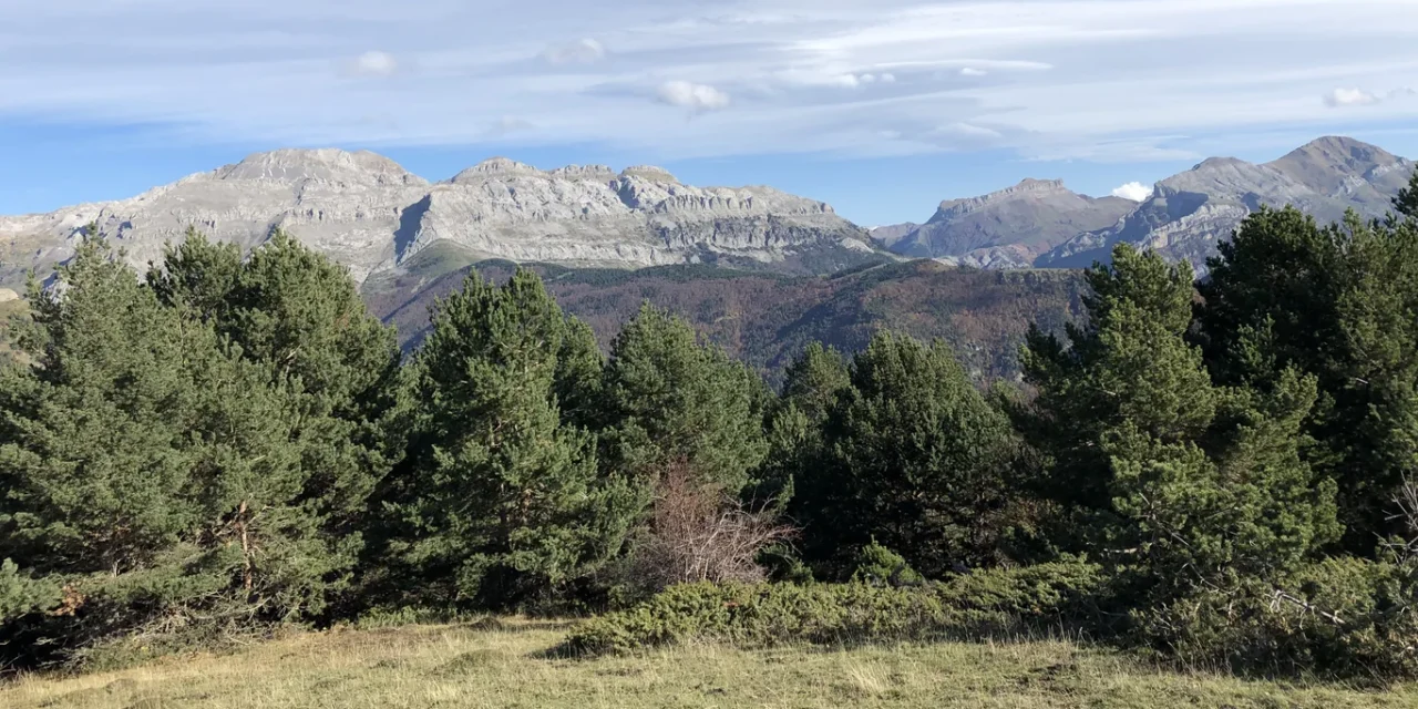 De las vistas de la Escarroneta al commoning: pasado y futuro de los valles de Echo y Ansó