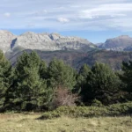 De las vistas de la Escarroneta al commoning: pasado y futuro de los valles de Echo y Ansó