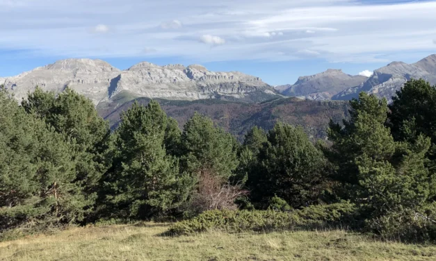 De las vistas de la Escarroneta al commoning: pasado y futuro de los valles de Echo y Ansó